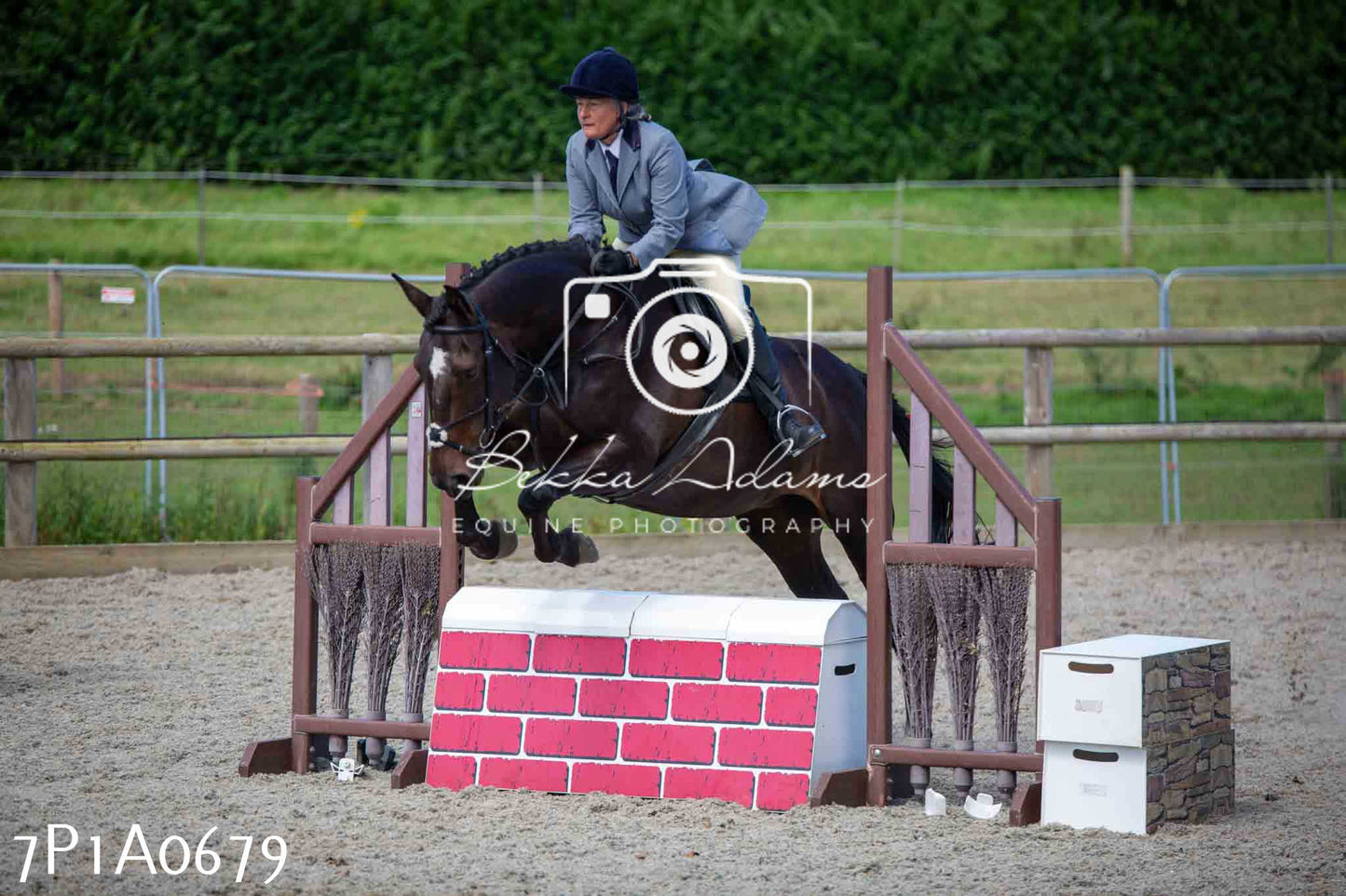 Home Farm Annual Show - Working Hunter 19th August 2023