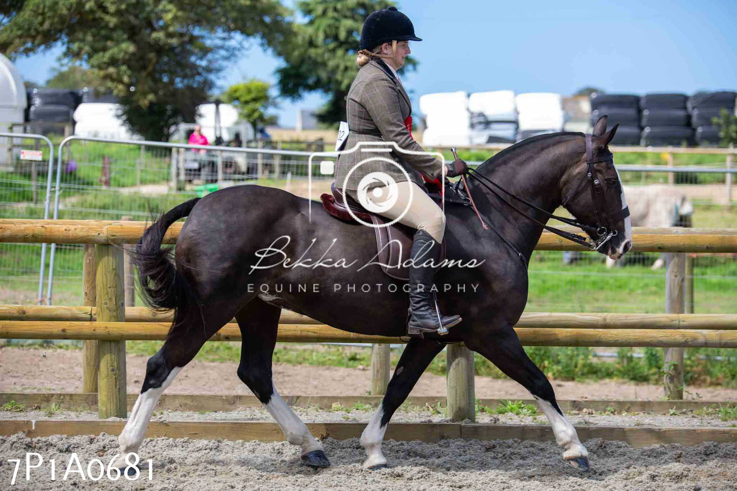 Home Farm Annual Show - Working Hunter 19th August 2023