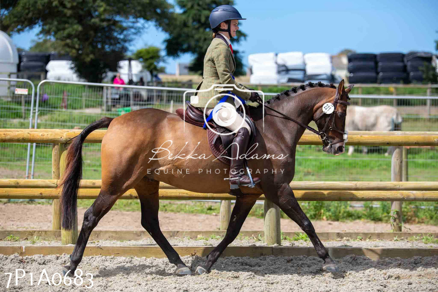 Home Farm Annual Show - Working Hunter 19th August 2023