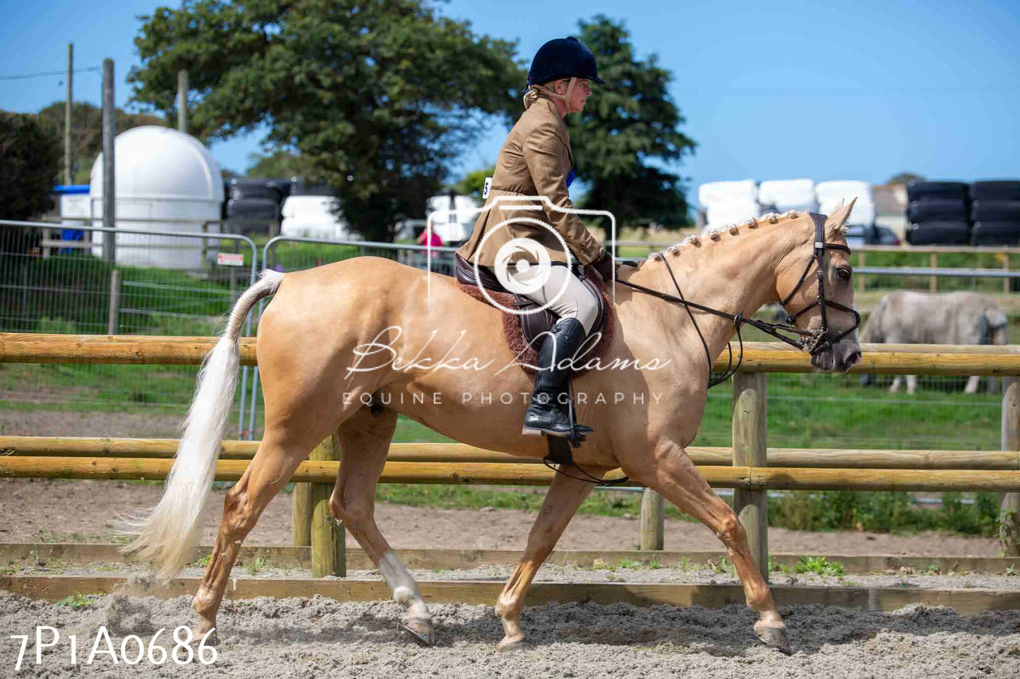 Home Farm Annual Show - Working Hunter 19th August 2023