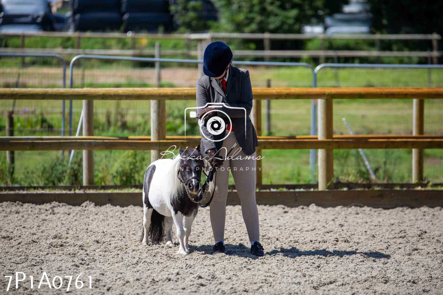 Home Farm Annual Show - Inhand Showing 19th August 2023