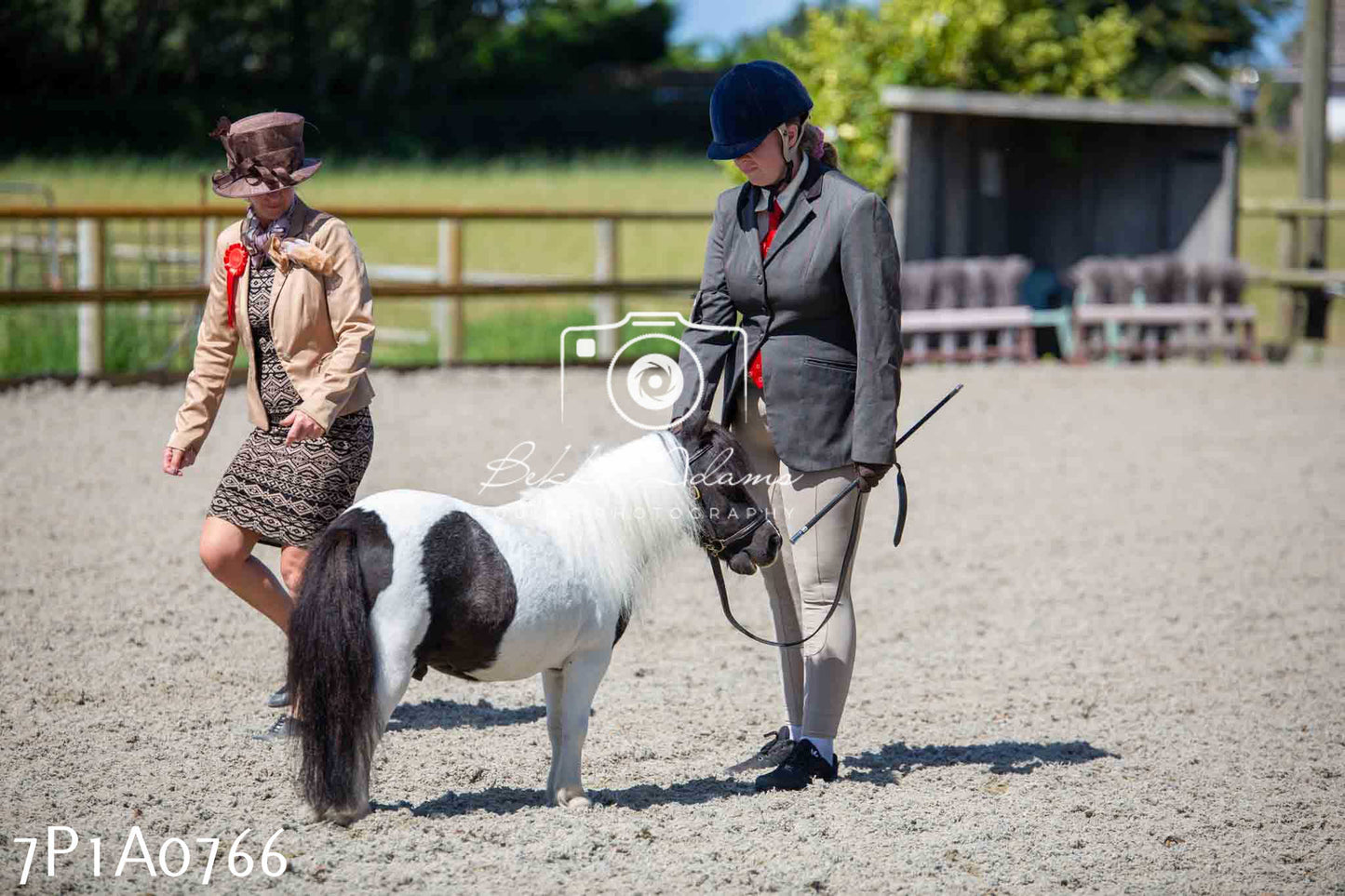 Home Farm Annual Show - Inhand Showing 19th August 2023