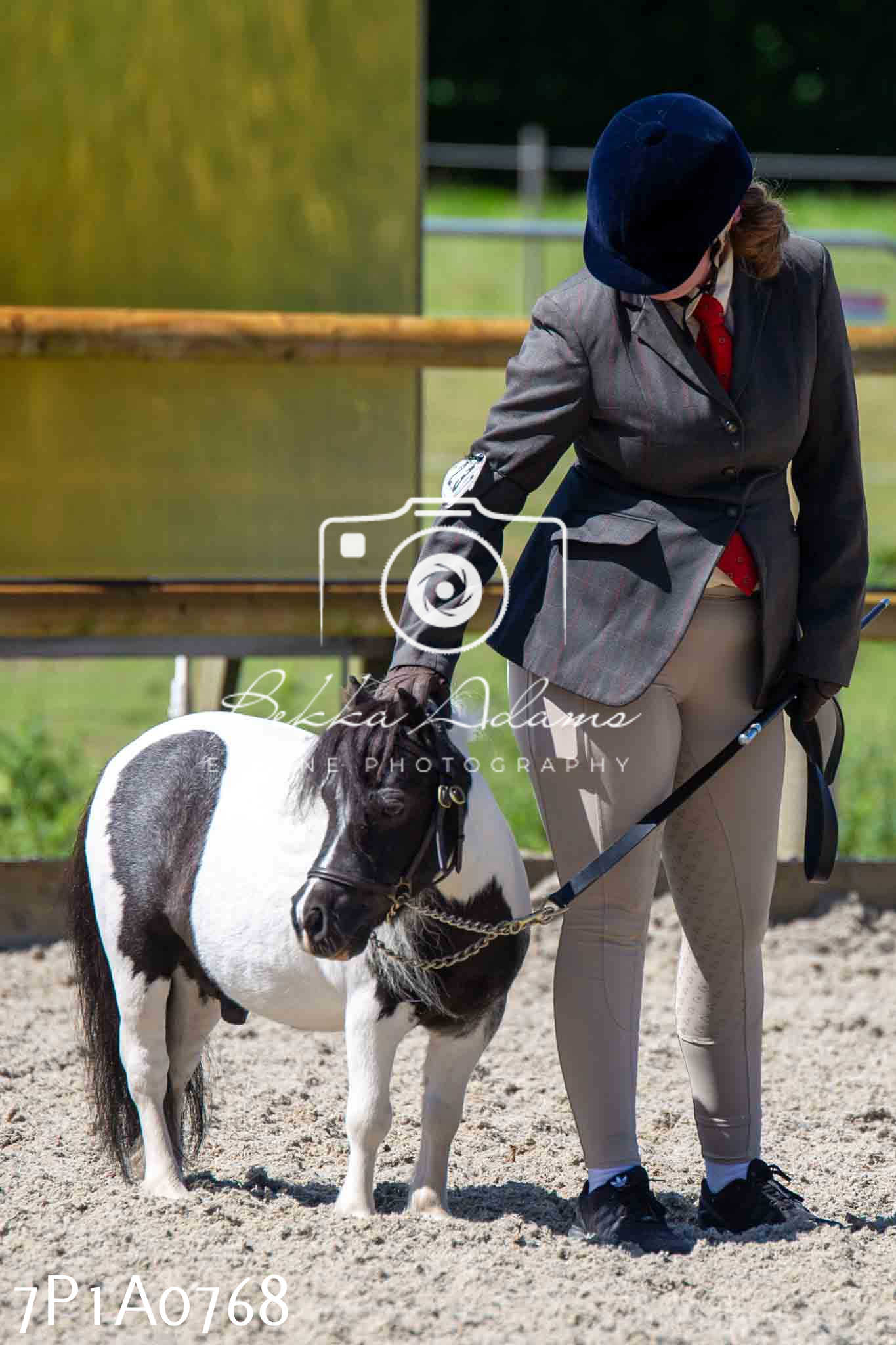 Home Farm Annual Show - Inhand Showing 19th August 2023