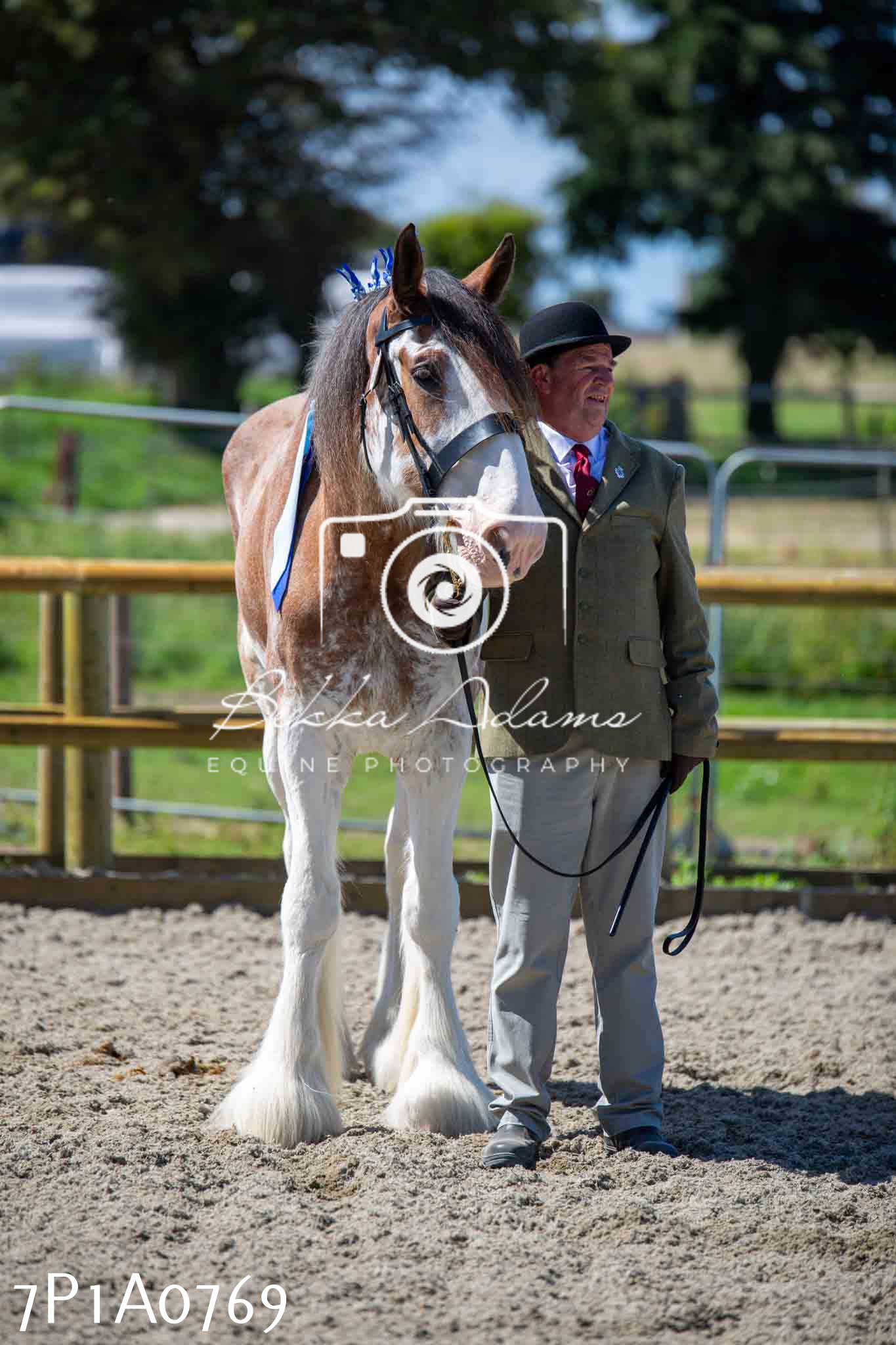 Home Farm Annual Show - Inhand Showing 19th August 2023