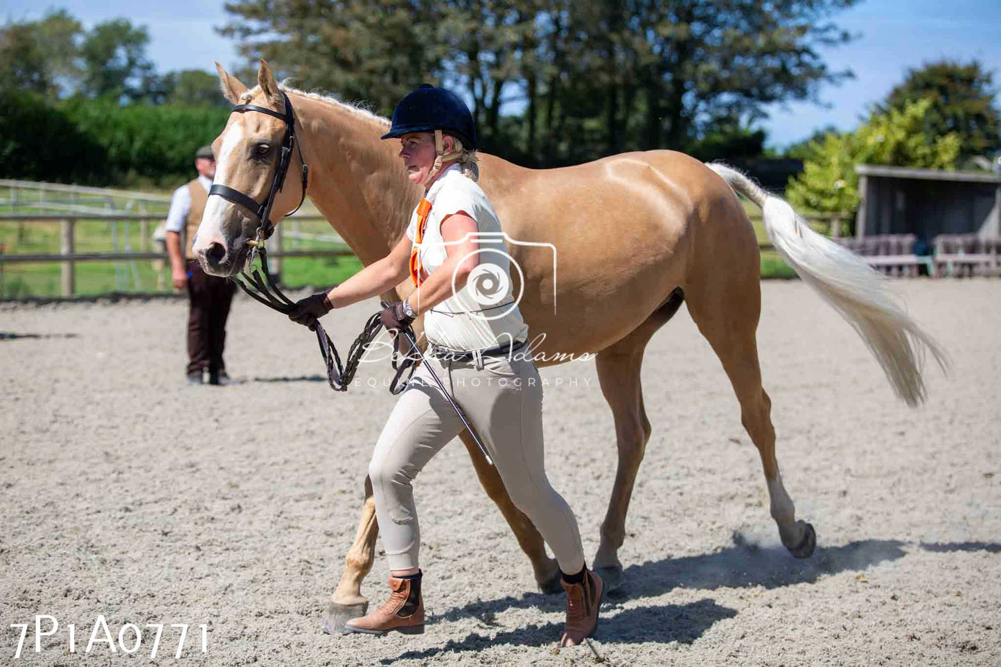 Home Farm Annual Show - Inhand Showing 19th August 2023