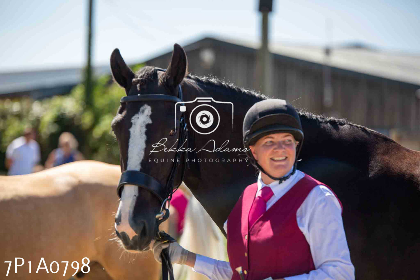 Home Farm Annual Show - Inhand Showing 19th August 2023
