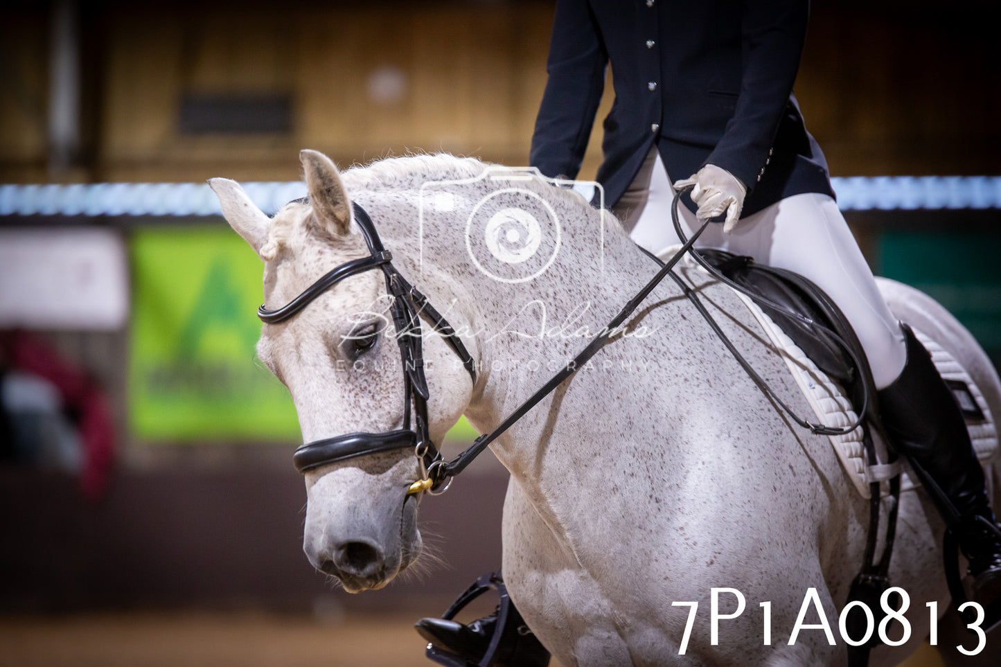 JHOYS 2025 - Dressage - 14th September pt1