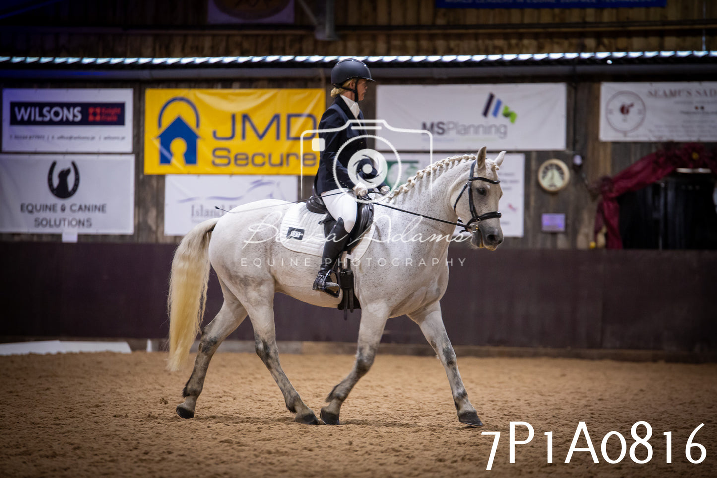 JHOYS 2025 - Dressage - 14th September pt1