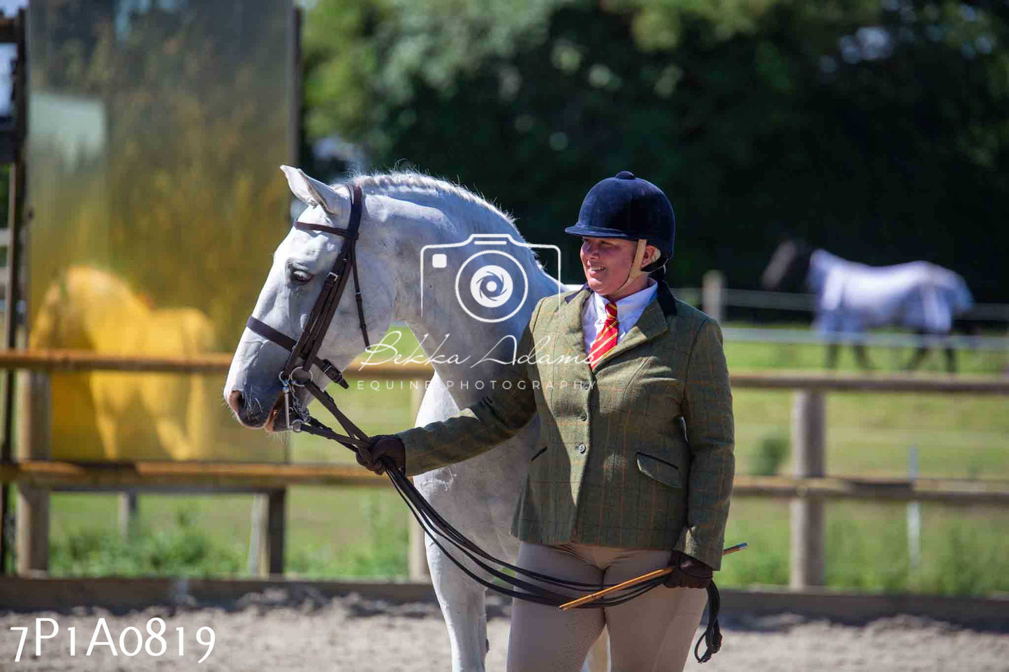 Home Farm Annual Show - Inhand Showing 19th August 2023
