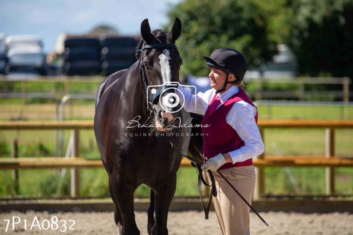 Home Farm Annual Show - Inhand Showing 19th August 2023