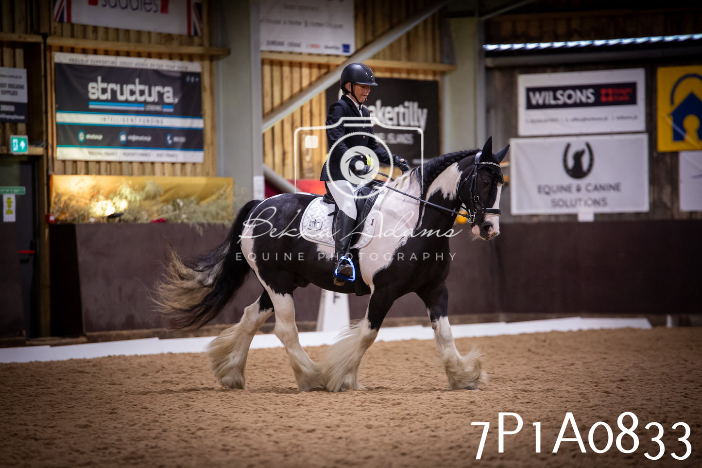 JHOYS 2025 - Dressage - 14th September pt1