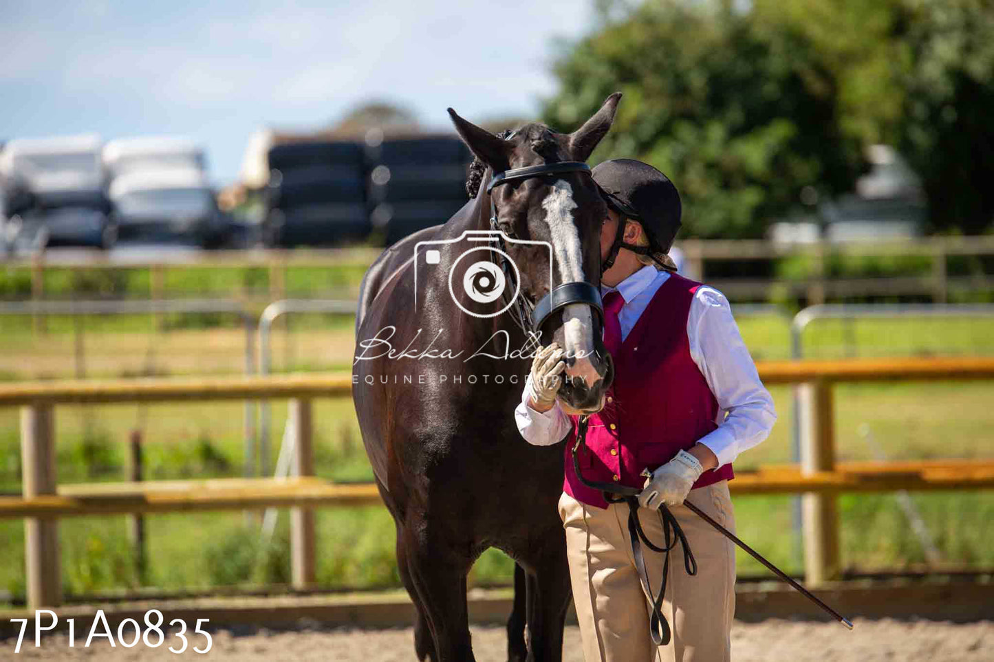 Home Farm Annual Show - Inhand Showing 19th August 2023