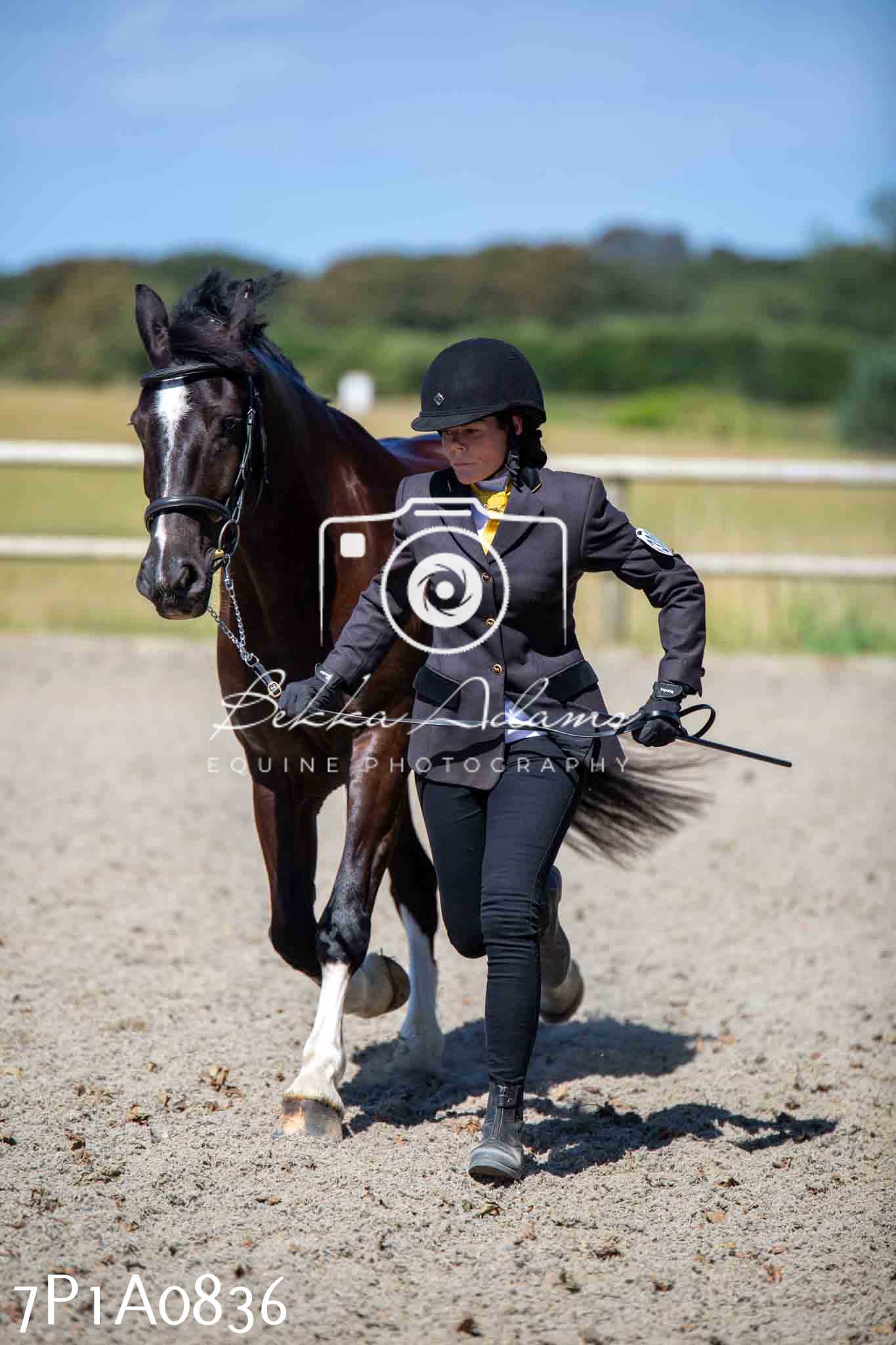 Home Farm Annual Show - Inhand Showing 19th August 2023