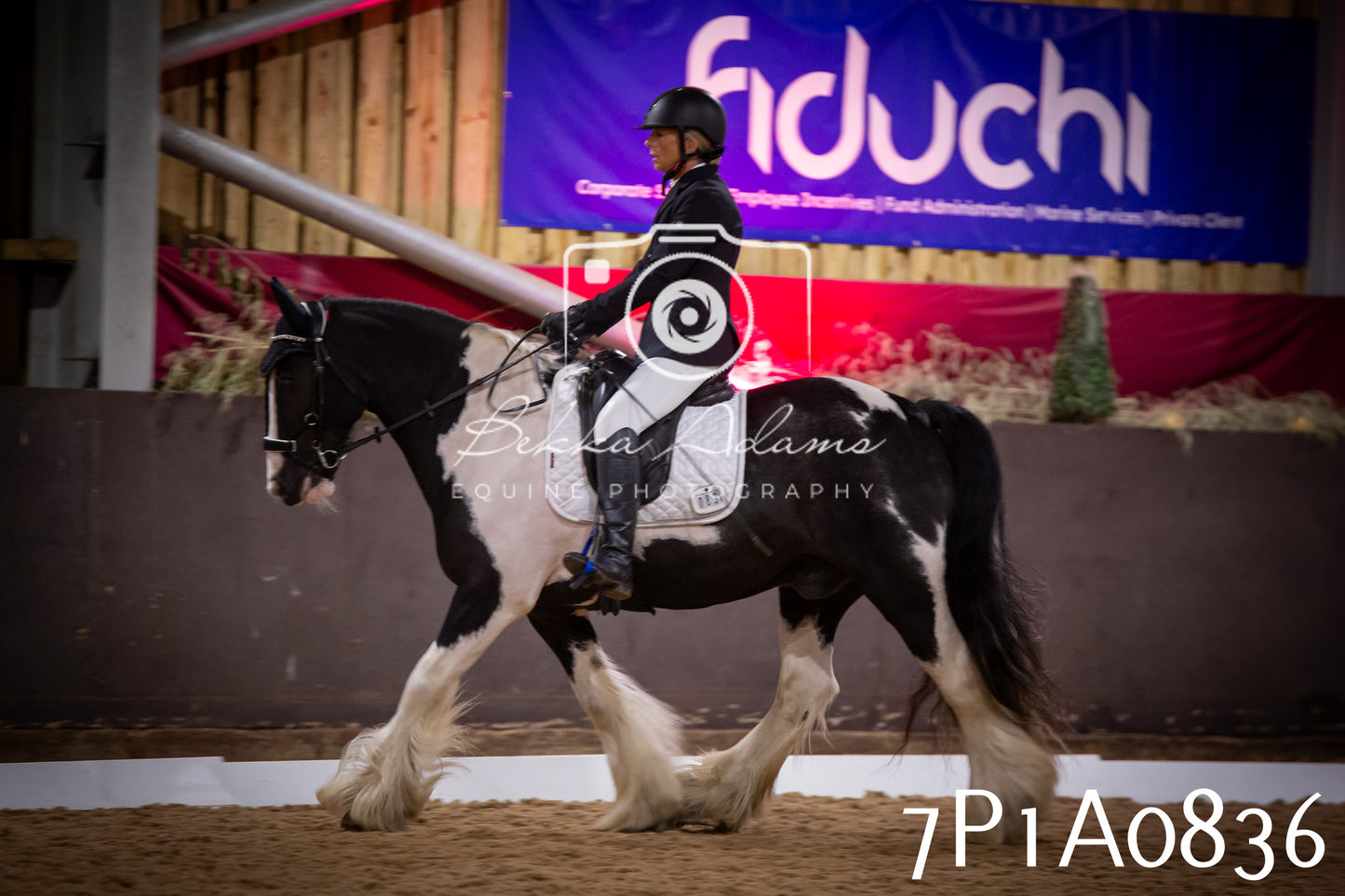 JHOYS 2025 - Dressage - 14th September pt1