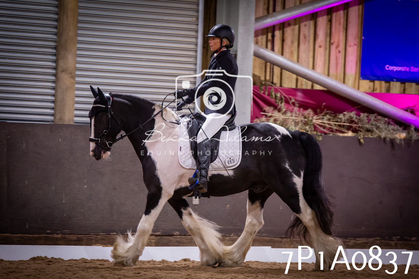 JHOYS 2025 - Dressage - 14th September pt1