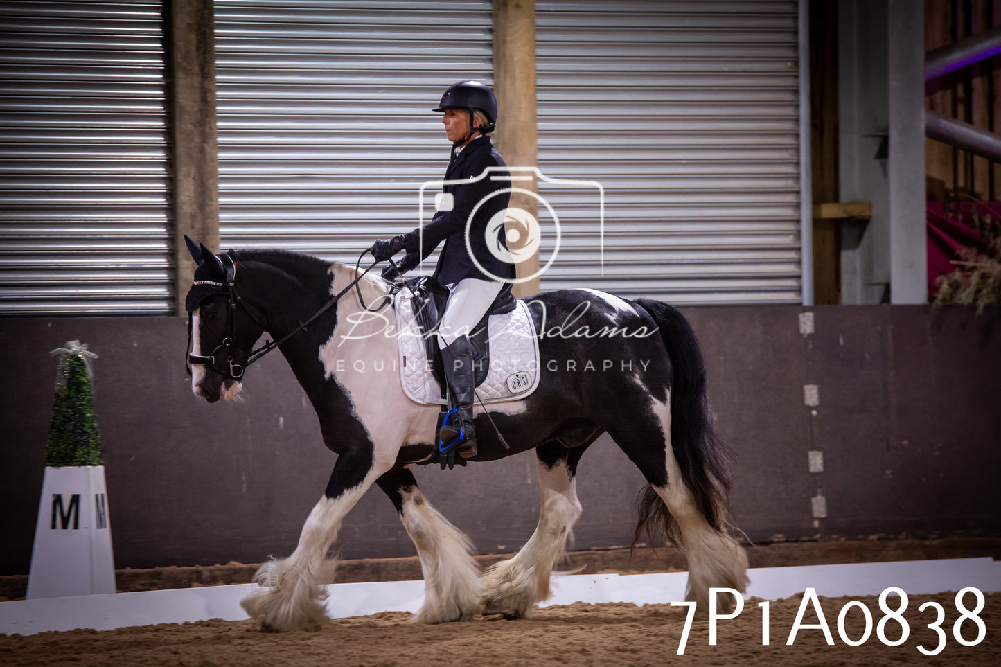 JHOYS 2025 - Dressage - 14th September pt1