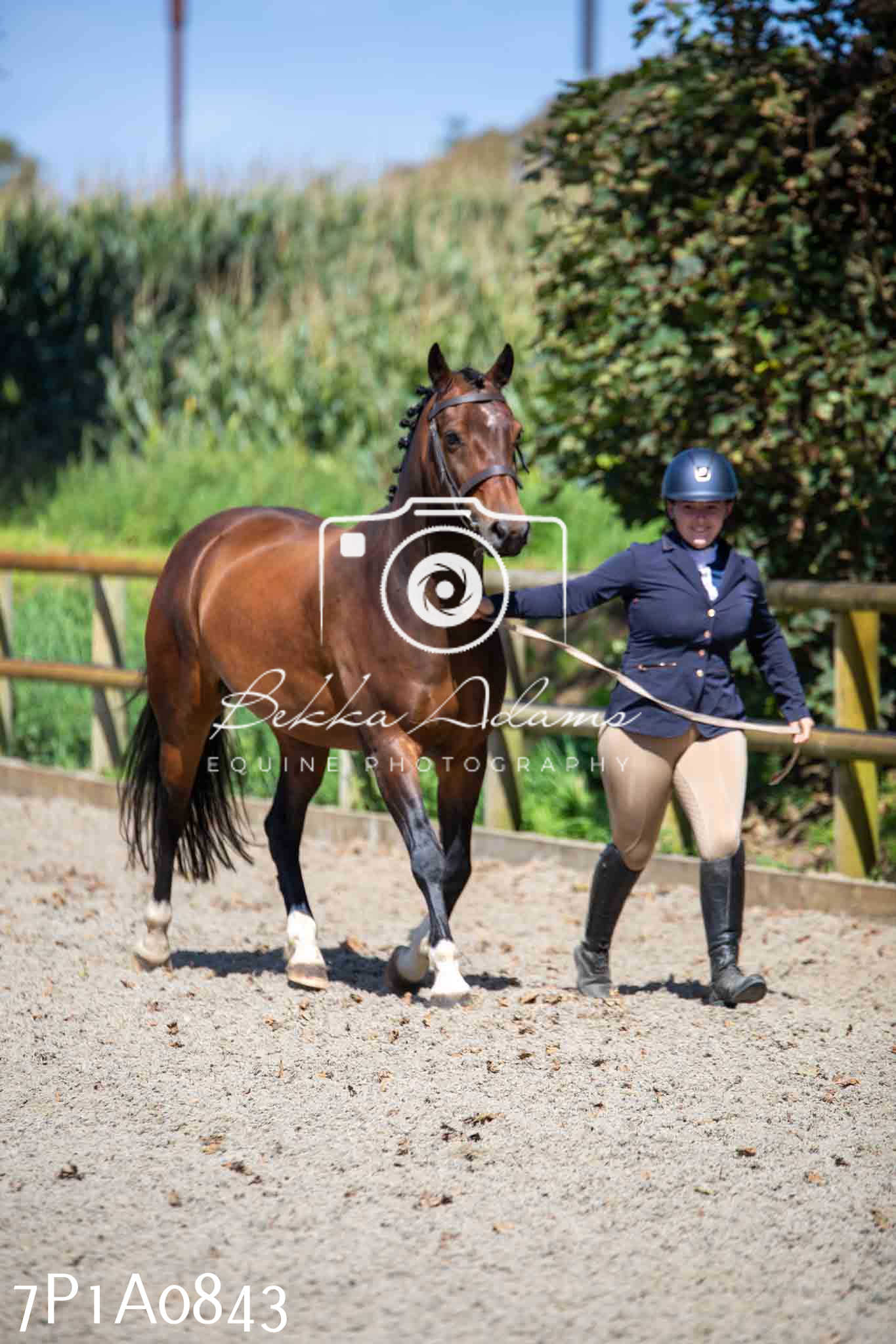 Home Farm Annual Show - Inhand Showing 19th August 2023