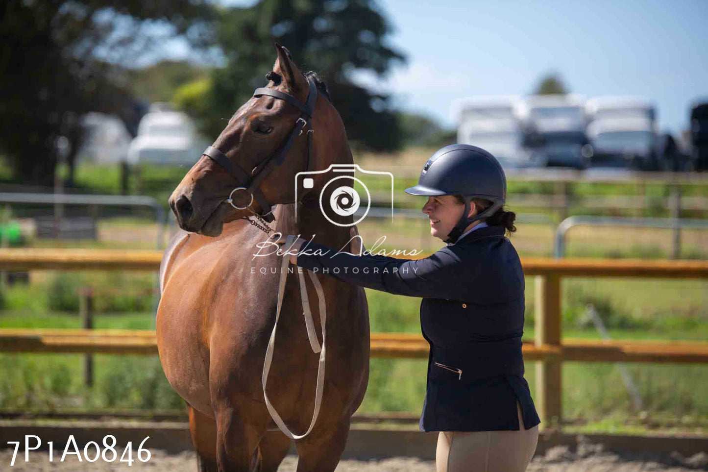 Home Farm Annual Show - Inhand Showing 19th August 2023