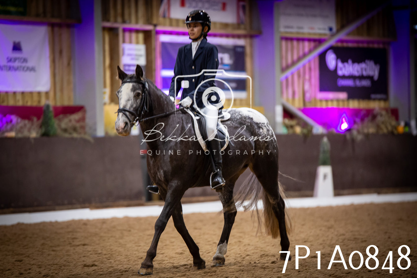 JHOYS 2025 - Dressage - 14th September pt1