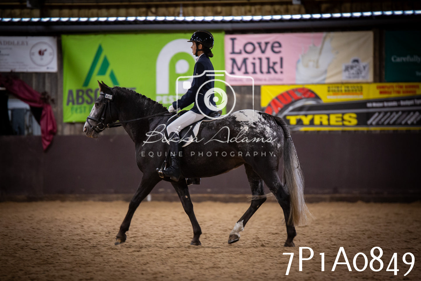 JHOYS 2025 - Dressage - 14th September pt1