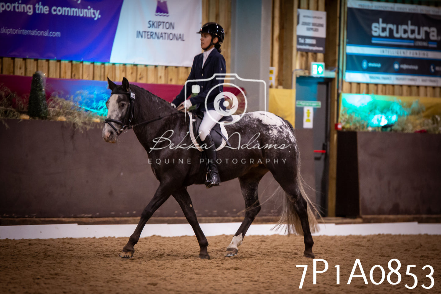 JHOYS 2025 - Dressage - 14th September pt1