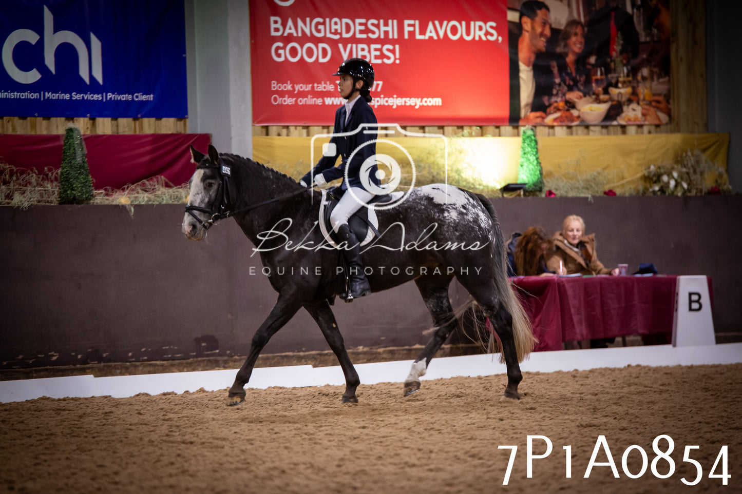 JHOYS 2025 - Dressage - 14th September pt1