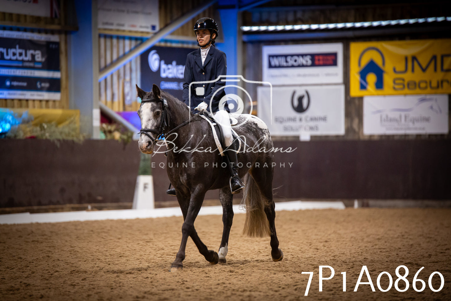 JHOYS 2025 - Dressage - 14th September pt1