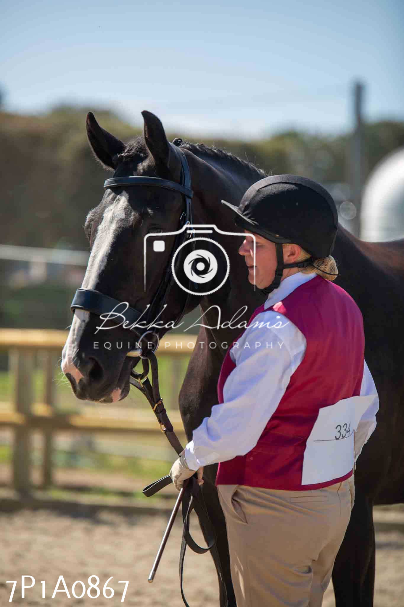 Home Farm Annual Show - Inhand Showing 19th August 2023