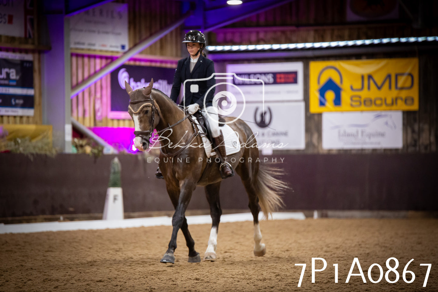 JHOYS 2025 - Dressage - 14th September pt1
