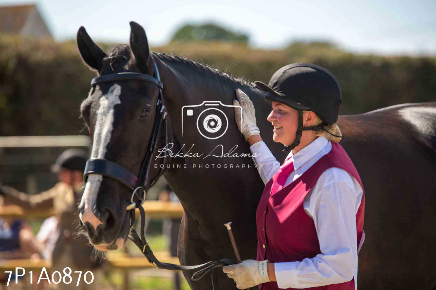 Home Farm Annual Show - Inhand Showing 19th August 2023