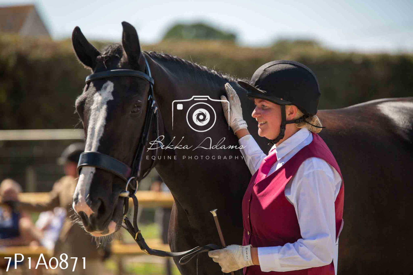 Home Farm Annual Show - Inhand Showing 19th August 2023