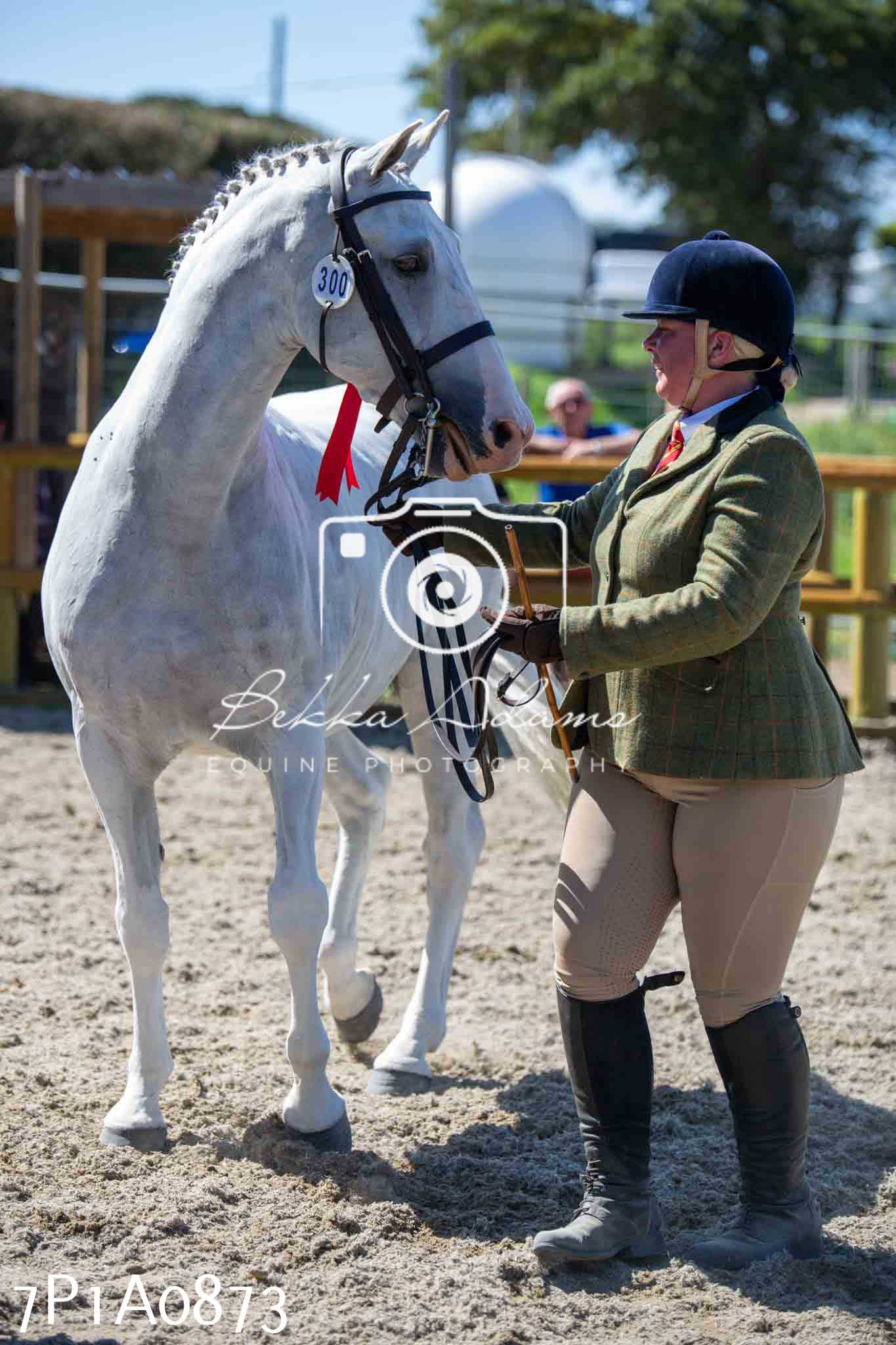 Home Farm Annual Show - Inhand Showing 19th August 2023