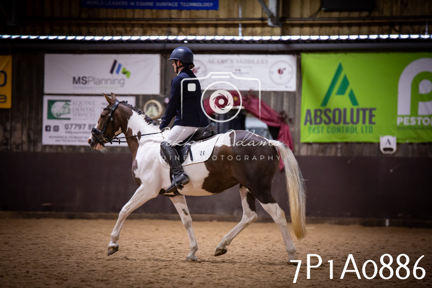 JHOYS 2025 - Dressage - 14th September pt1