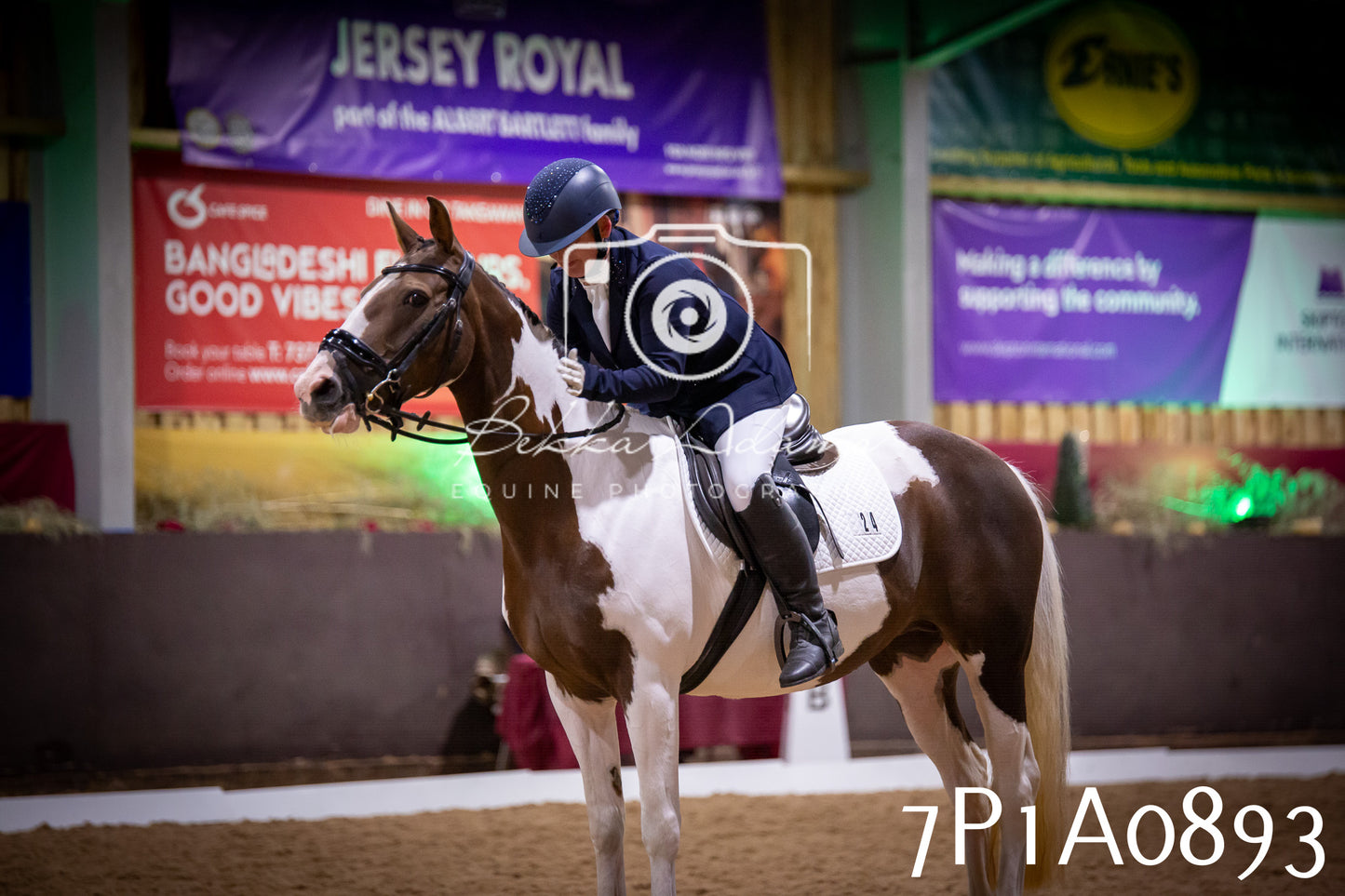 JHOYS 2025 - Dressage - 14th September pt1