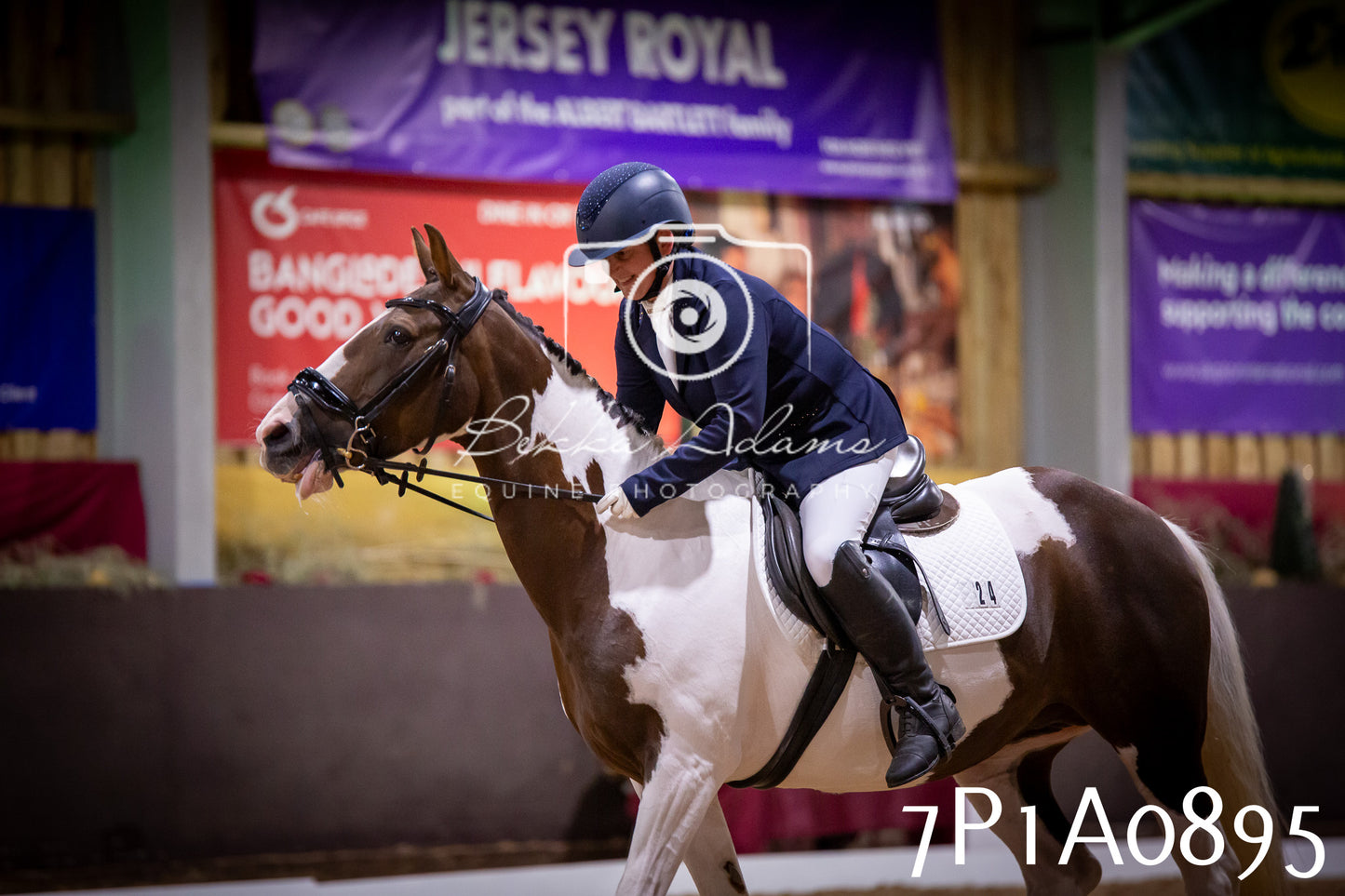 JHOYS 2025 - Dressage - 14th September pt1