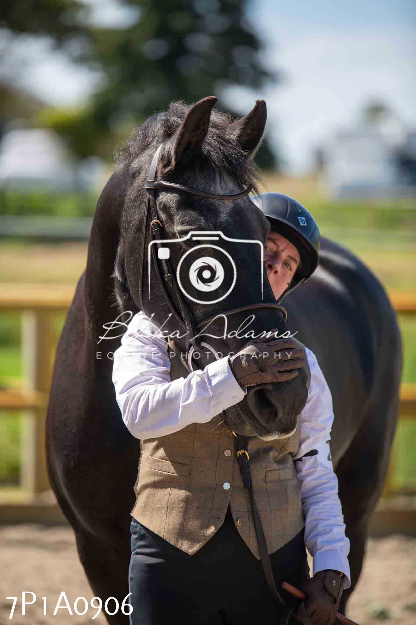 Home Farm Annual Show - Inhand Showing 19th August 2023