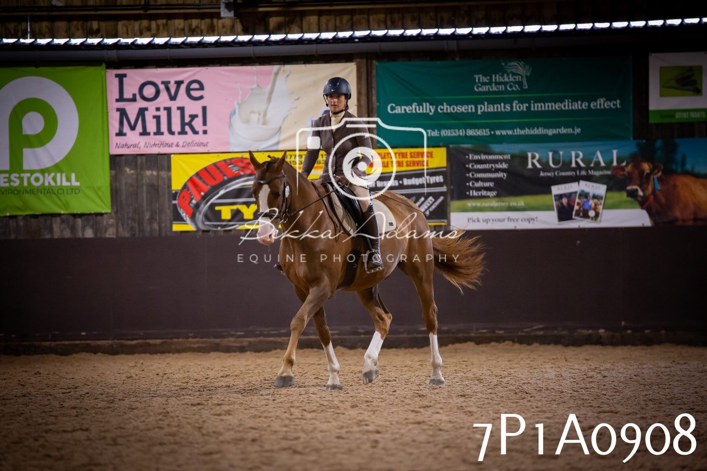 JHOYS 2025 - Dressage - 14th September pt1