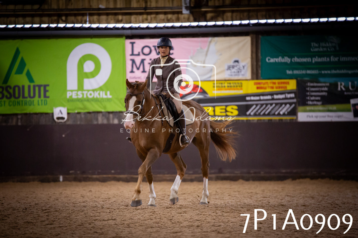 JHOYS 2025 - Dressage - 14th September pt1