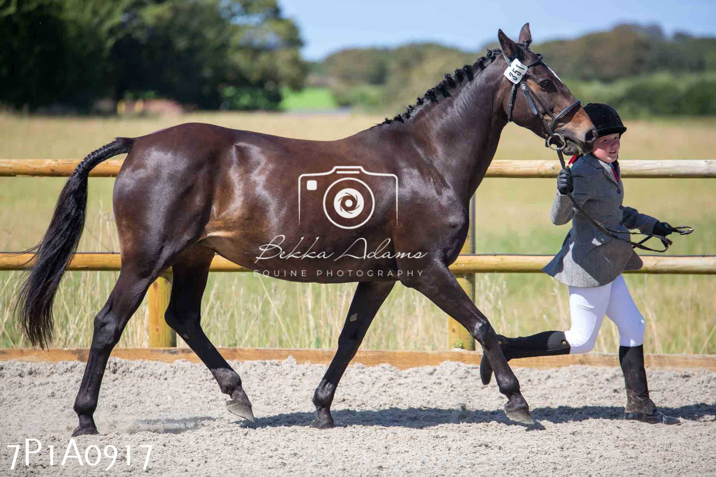 Home Farm Annual Show - Inhand Showing 19th August 2023