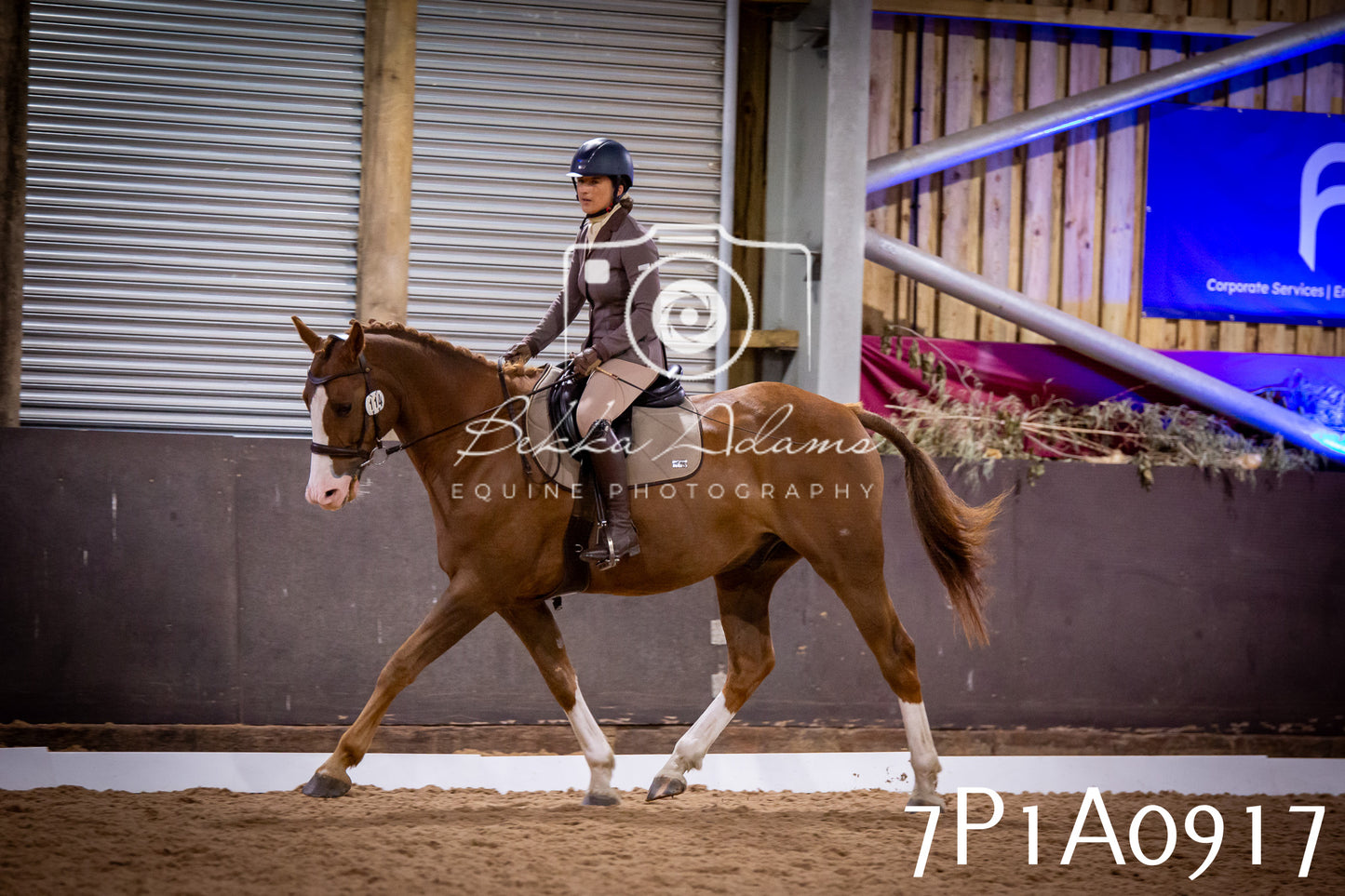 JHOYS 2025 - Dressage - 14th September pt1