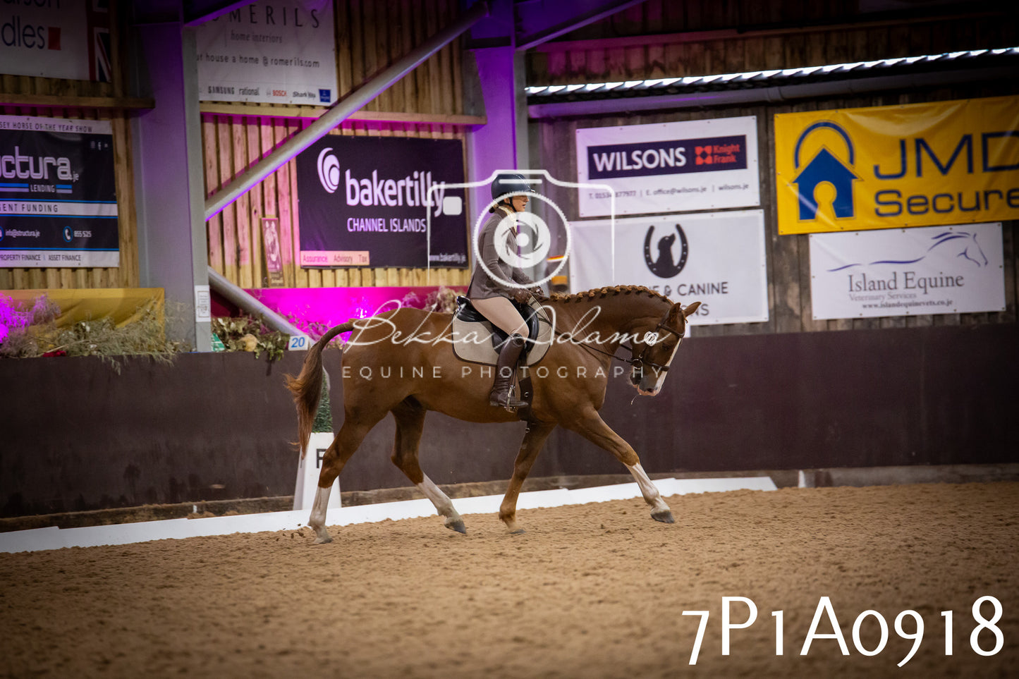 JHOYS 2025 - Dressage - 14th September pt1