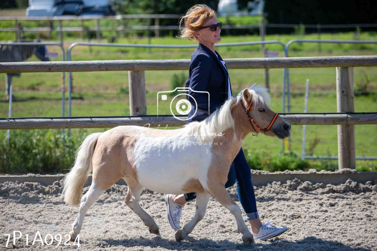 Home Farm Annual Show - Inhand Showing 19th August 2023