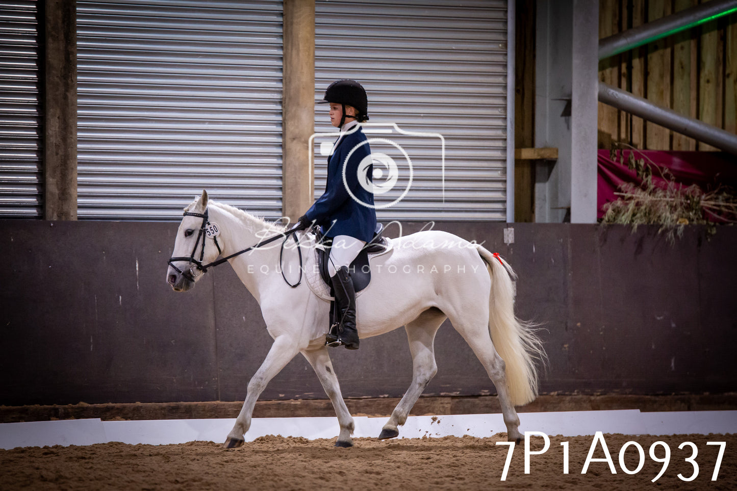 JHOYS 2025 - Dressage - 14th September pt1
