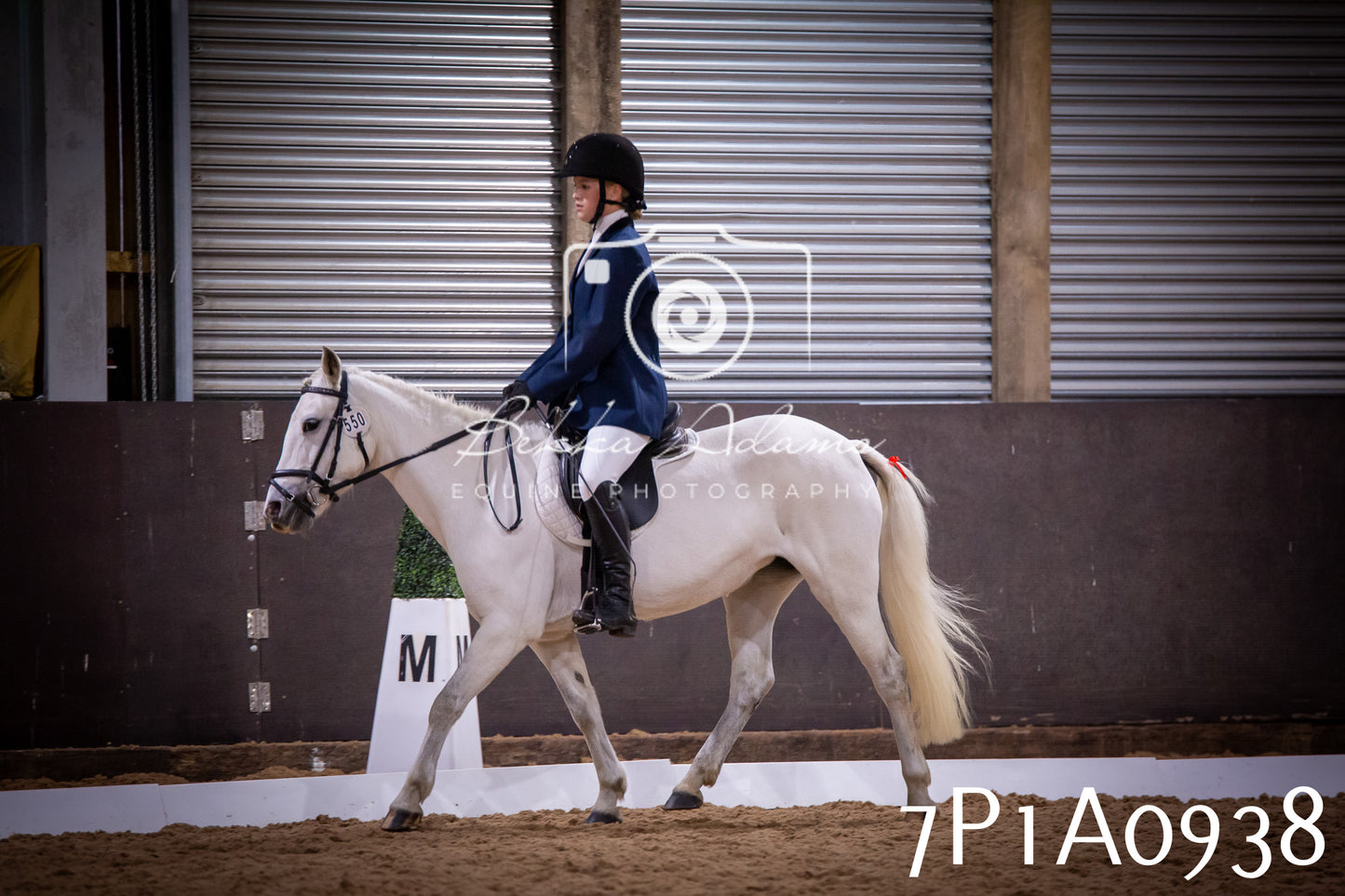 JHOYS 2025 - Dressage - 14th September pt1