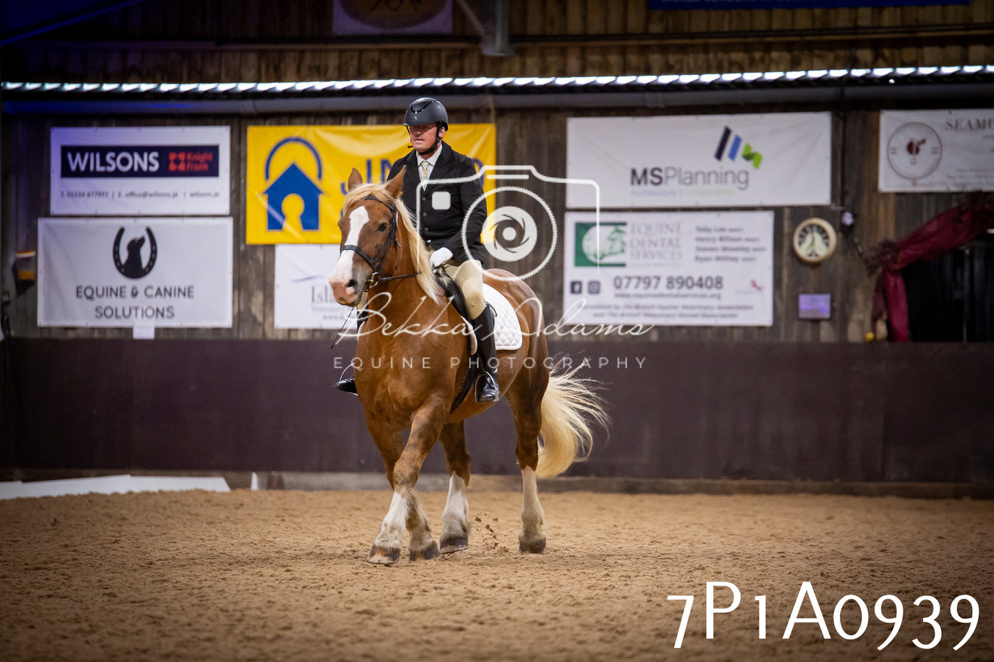 JHOYS 2025 - Dressage - 14th September pt1