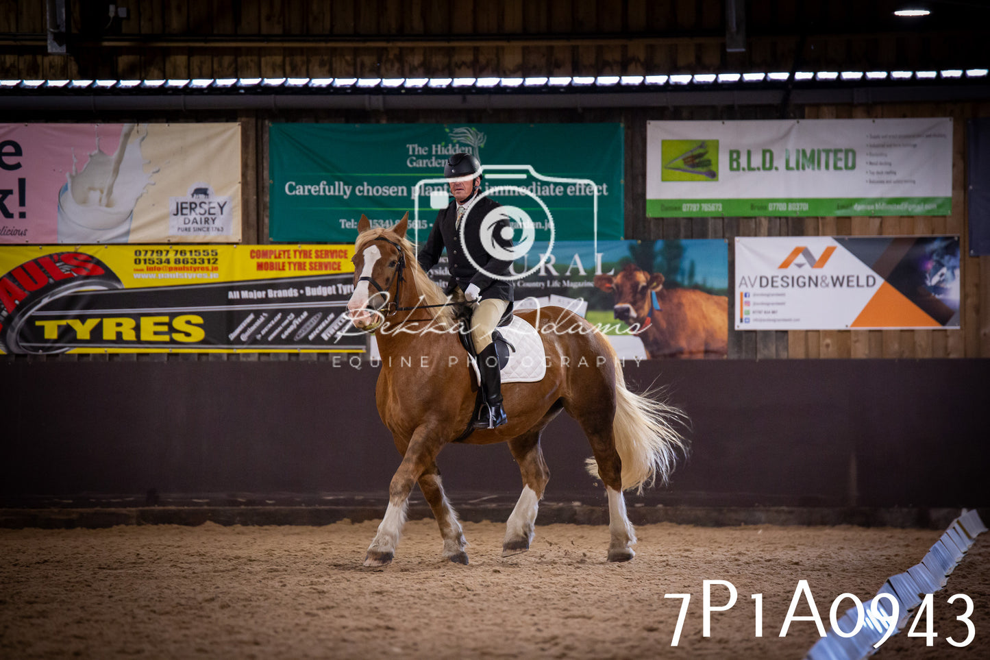JHOYS 2025 - Dressage - 14th September pt1
