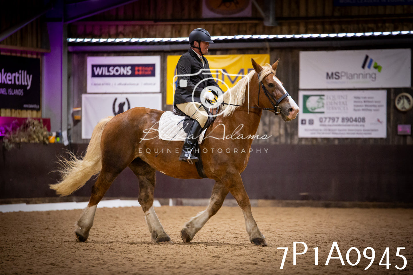 JHOYS 2025 - Dressage - 14th September pt1