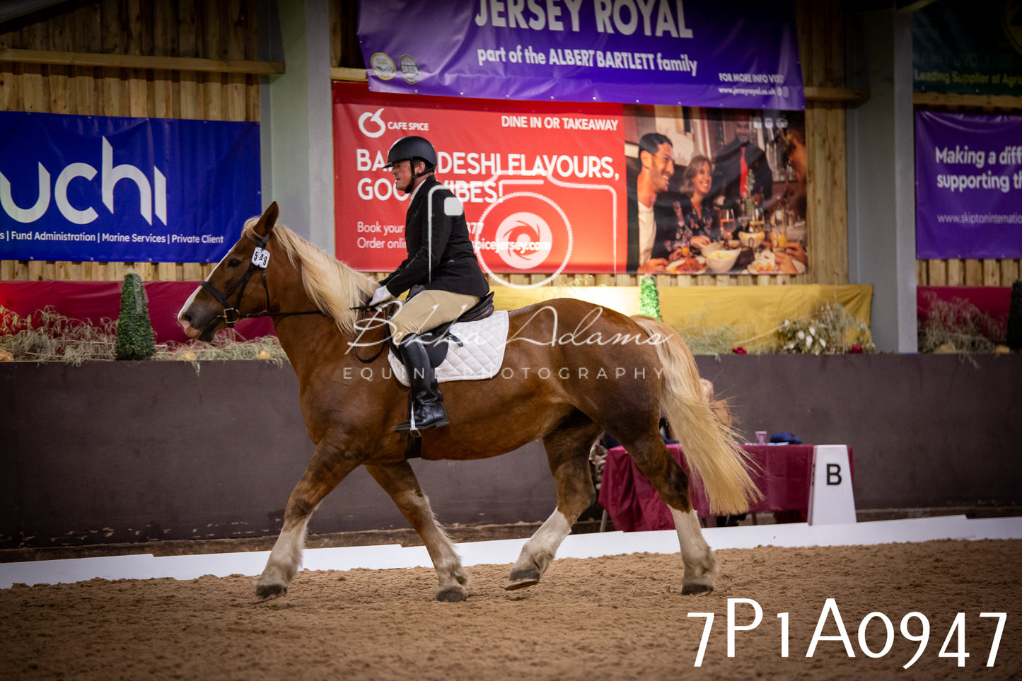 JHOYS 2025 - Dressage - 14th September pt1