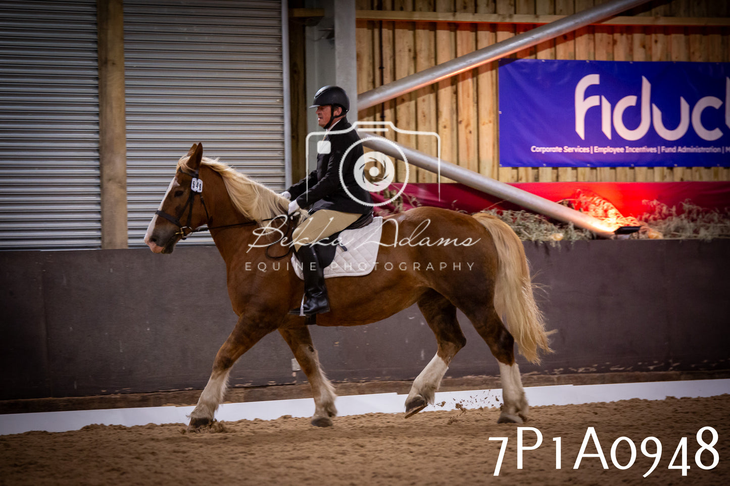 JHOYS 2025 - Dressage - 14th September pt1