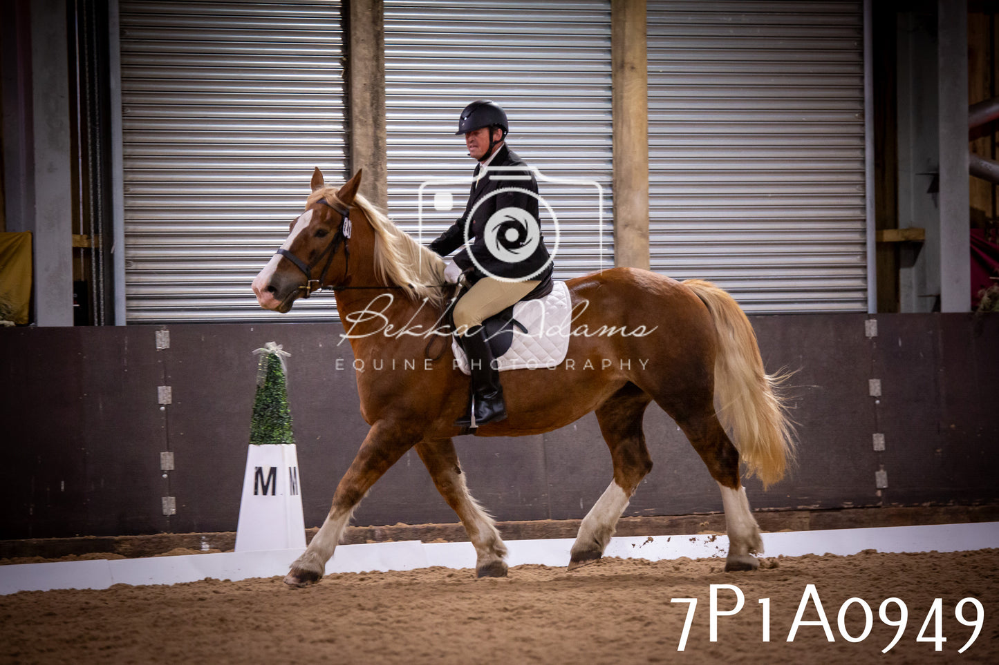 JHOYS 2025 - Dressage - 14th September pt1